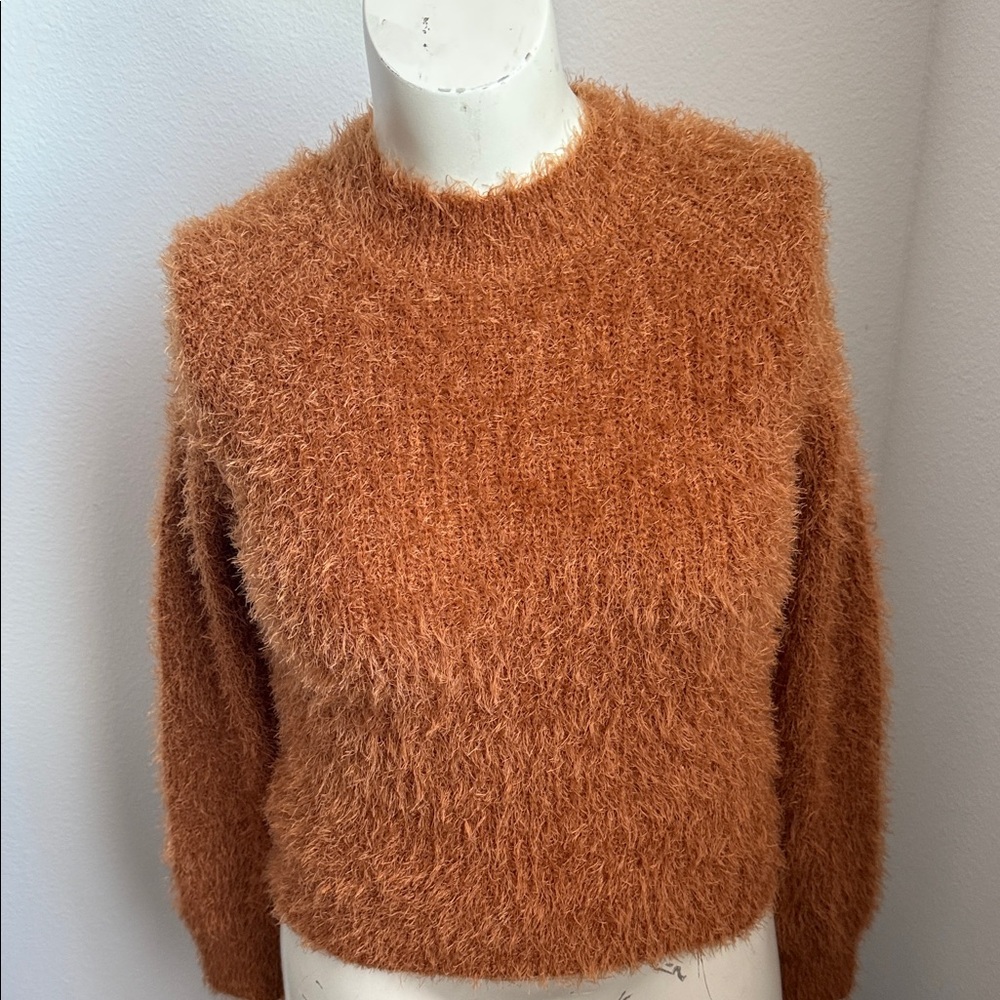 Pink Rose  XSmall Fuzzy Crewneck Sweater in Spicy Maple Color NWT